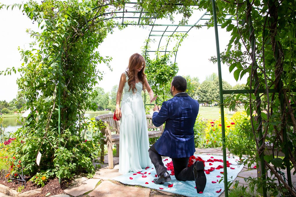 engagement proposal ideas