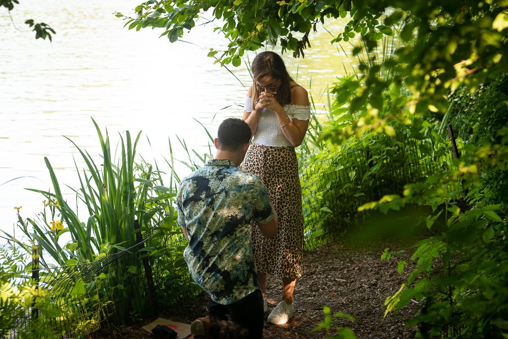 Photo New York City Proposal Ideas: Central Park