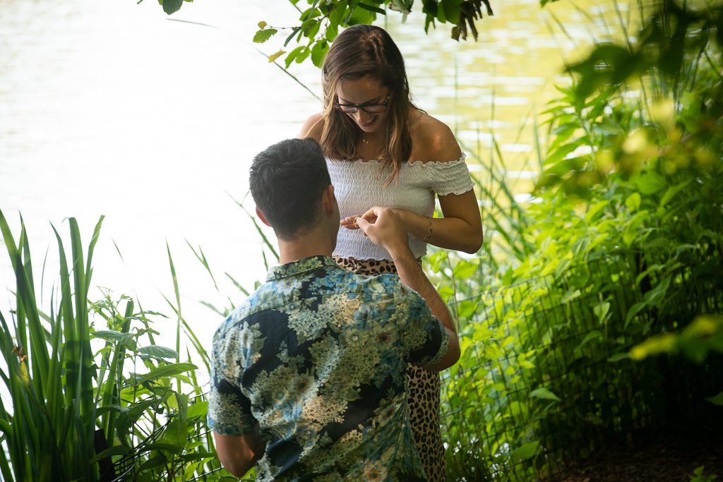 central park proposal locations