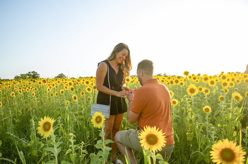 Photo Our Favorite Proposals of the Summer