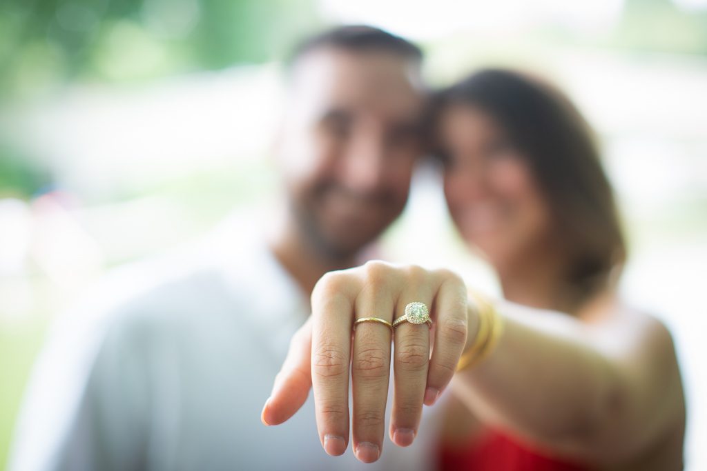 Photo New York Picnic Engagement Proposals: Jeff’s Central Park Proposal
