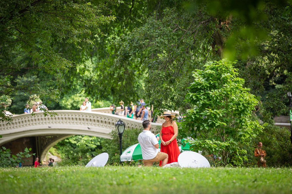 Photo Favorite Engagement Proposal Ideas of the Week Photo Favorite Engagement Proposal Ideas of the Week