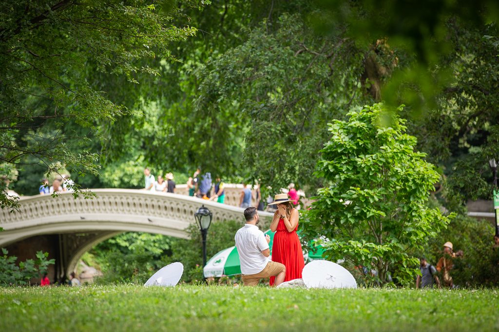 Photo New York Picnic Engagement Proposals: Jeff’s Central Park Proposal