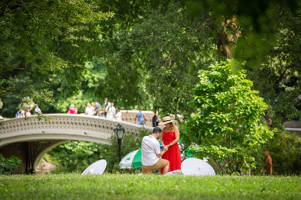New York Picnic Engagement Proposals