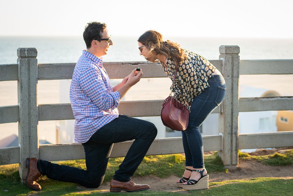 Photo Our Favorite Proposals of the Summer