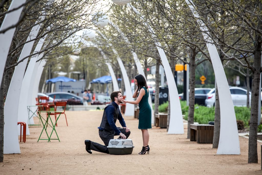 Photo Picture-Perfect Dallas Proposal Photography Ideas