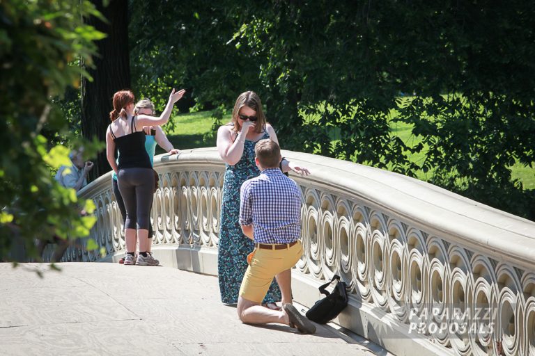 Photo 5 Ideas for Popping the Question in Central Park